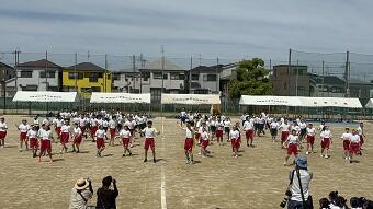 IMG_8141.JPG