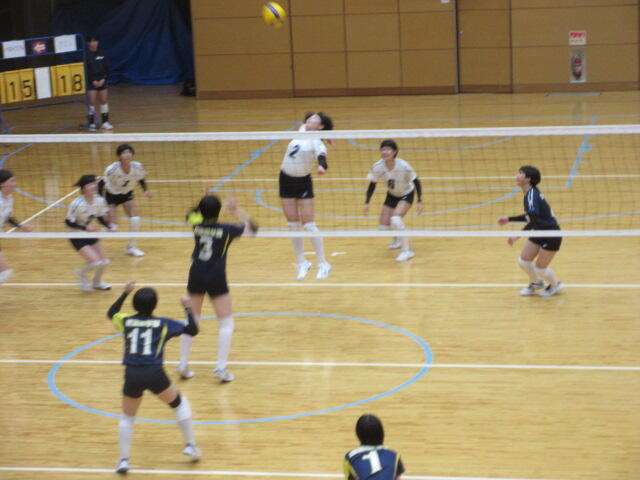 IMG_3897.JPG