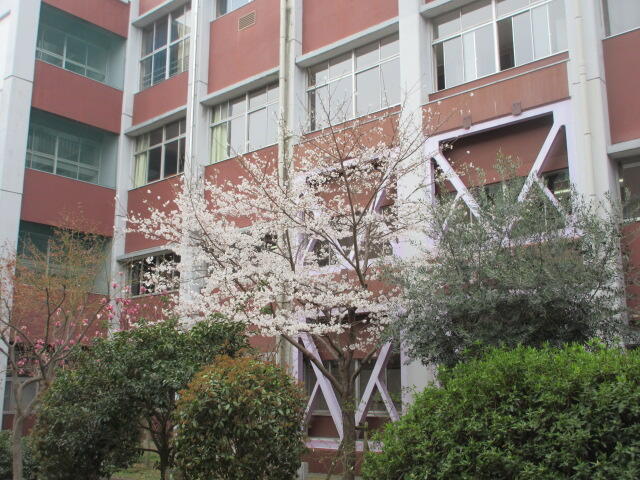 IMG_6640.JPG