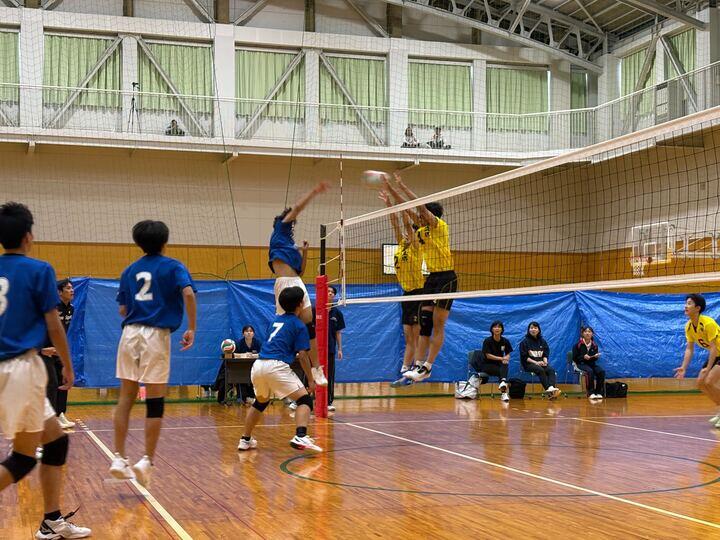 img_3366_720.jpg