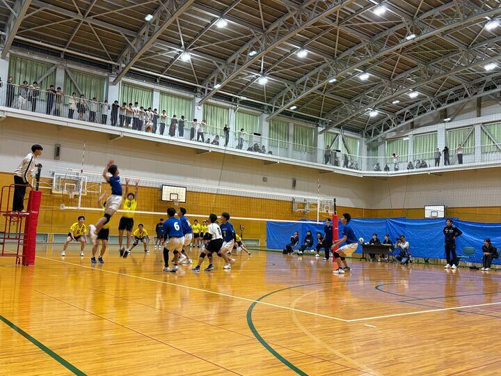img_3377_720.jpg