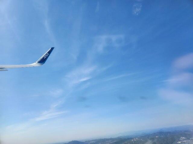 20260317_131547.jpg