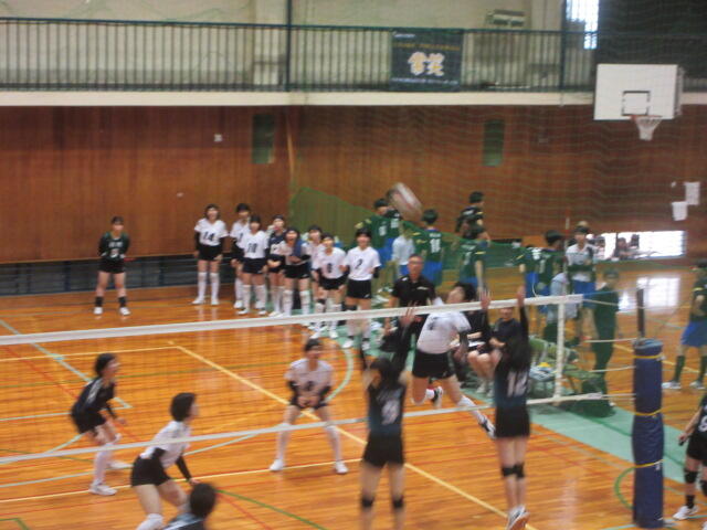女子バレーボール春季大会(2次予選) 健闘