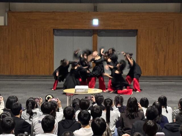 IMG_8524.jpeg