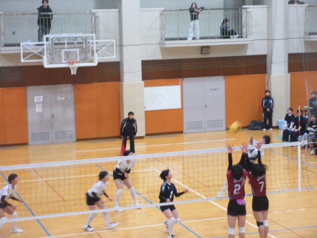 IMG_6528.JPG