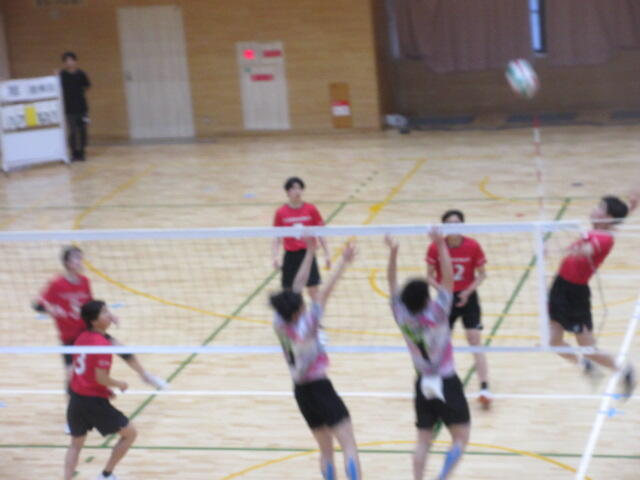 IMG_8254.JPG