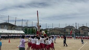 IMG_8370.JPG