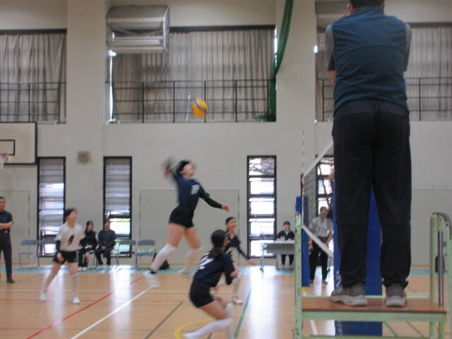 IMG_9681.JPG