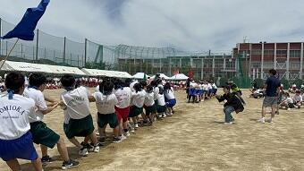 IMG_8208.JPG