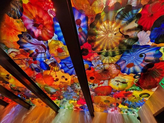 20260322_111855.jpg