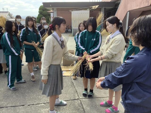 IMG_1019.jpeg