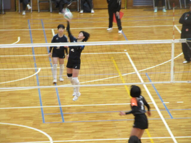 IMG_2206.JPG