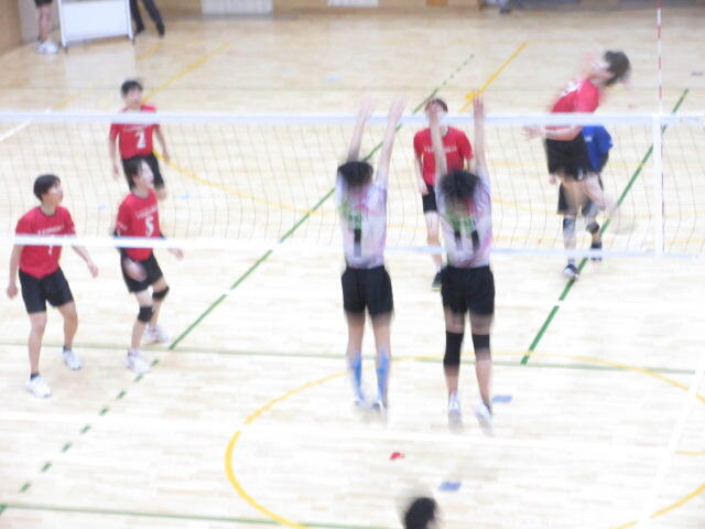 IMG_8204.JPG