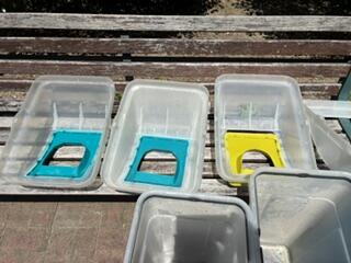 image1 (4).jpeg