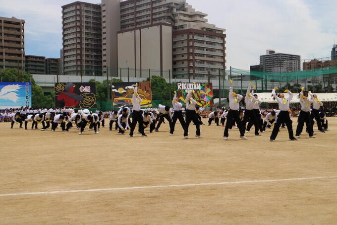 IMG_7856.JPG