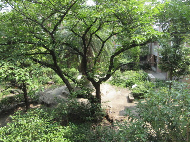 IMG_5995.JPG