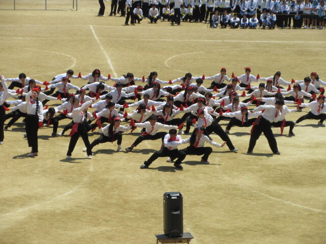 IMG_5019.JPG