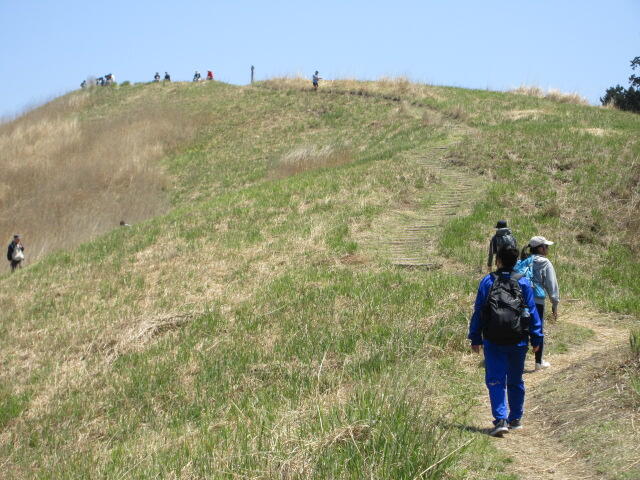 IMG_4044.JPG