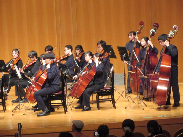 IMG_4286.JPG