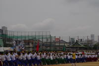 IMGP4065.JPG