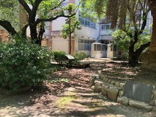 image0 (1).jpeg