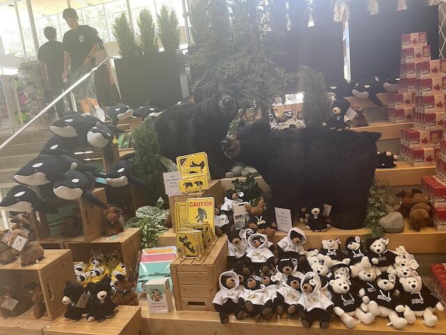 本屋さん.JPG