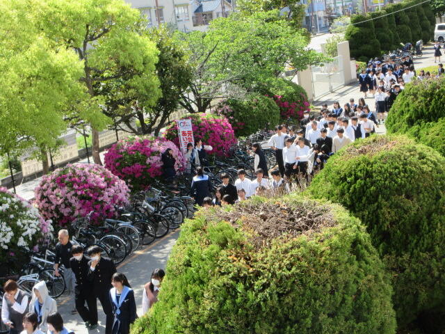 IMG_3945.JPG