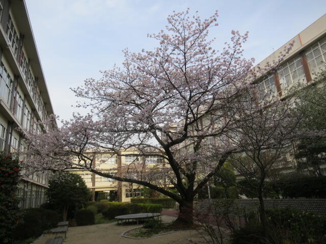 第52回入学式と始業式を行いました。