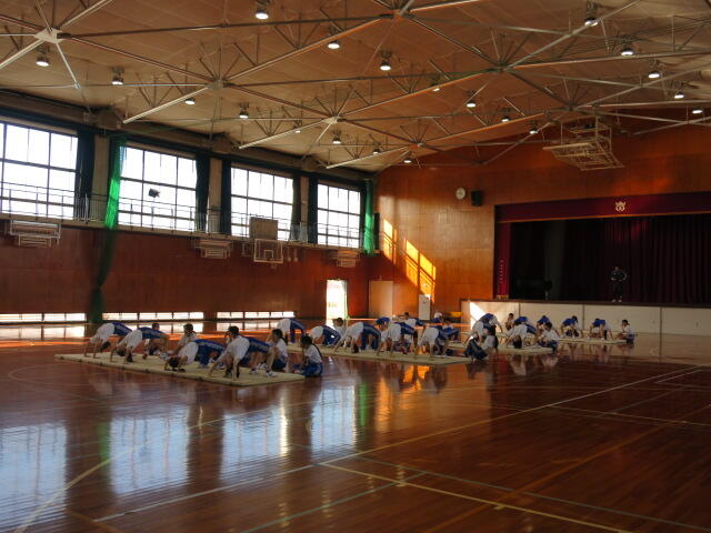 授業見学_マット運動 (2).JPG