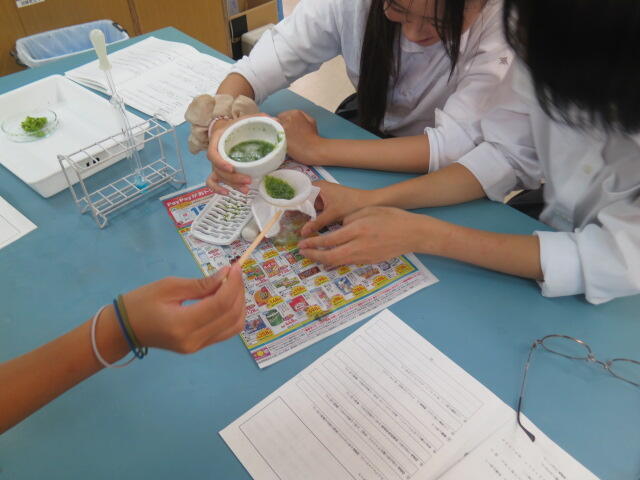 1年生の生物基礎を見学しました！