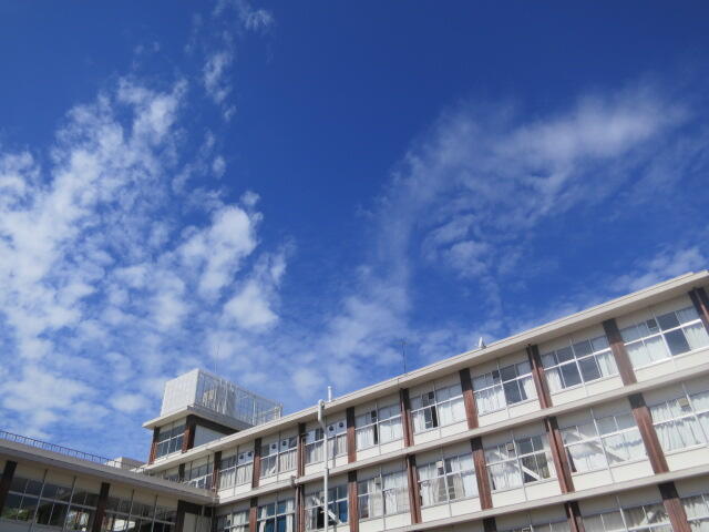明日から3連休、秋空？になってきたでしょうか...