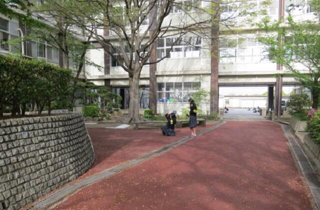 改装された中庭のご紹介②