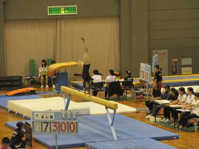 体操部 大阪高校総合体育大会 女子団体8位、個人総合9位(2部)
