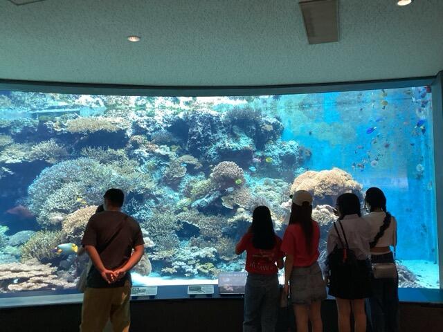 IMG_2538(中).jpeg