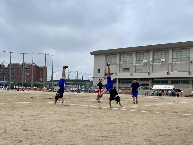 IMG_3609.jpeg