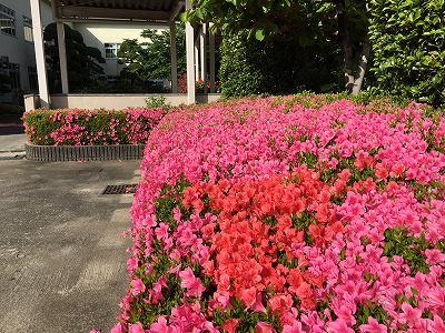 今週末(5/18金)より中間考査