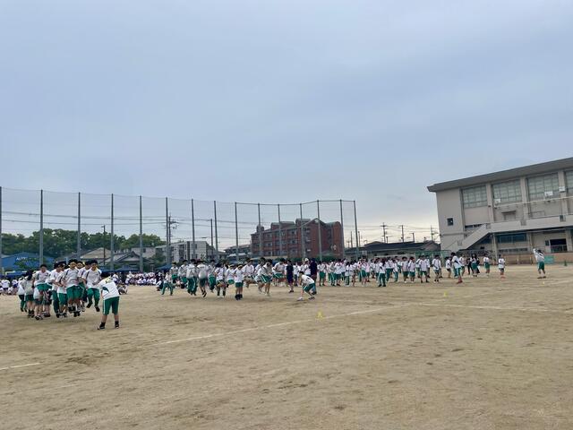 IMG_3552.jpeg