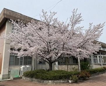 ごあいさつ
