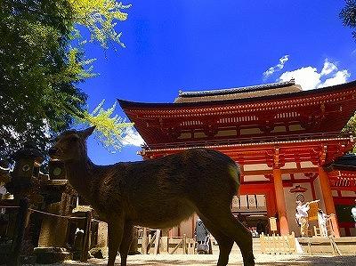 遠足~奈良から