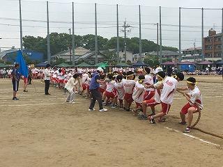 IMG_9222.jpg
