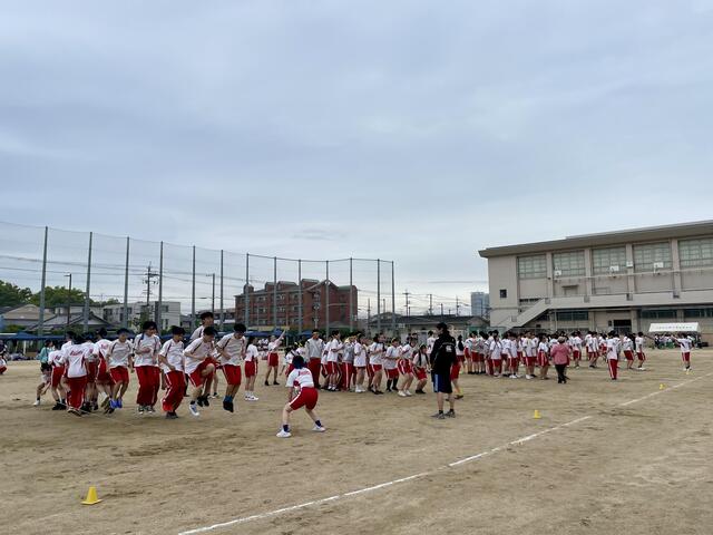 IMG_3566.jpeg