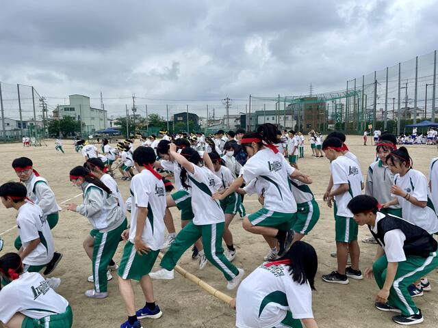IMG_3629.jpeg