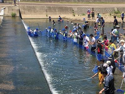 「アユと遊ぼう大津川」の様子