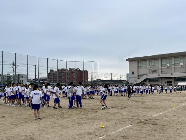 IMG_3553.jpeg