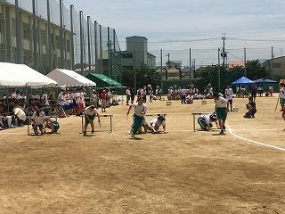 IMG_4403.jpg