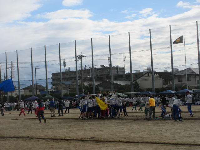 IMG_2516.JPG