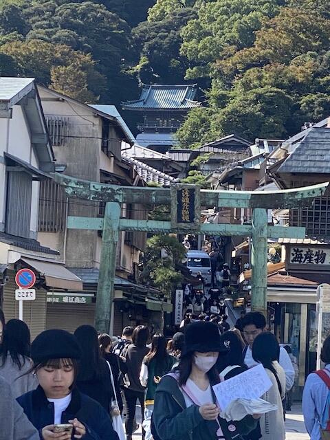 IMG_0174.jpeg