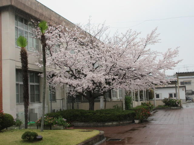 校長ブログを御覧いただき,誠にありがとうございました。