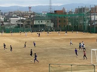 IMG_7257.jpg