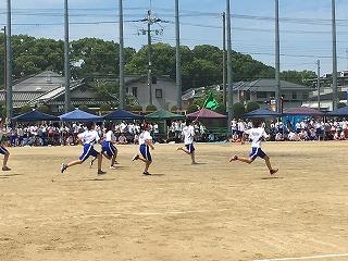 IMG_4353.jpg